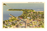 Aerial View of Sarasota, Florida Posters
