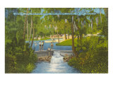 Sanlando Springs, Florida Lámina giclée Sanlando Springs, Florida Lámina giclée