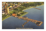 Aerial View of Sarasota, Florida Posters