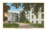 State Capitol, Tallahassee, Florida Posters