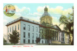 State Capitol, Tallahassee, Florida Photo