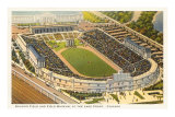 Soldier Field and Field Museum, Chicago, Illinois Photo