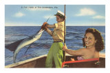 Catching a Sailfish, Ft. Lauderdale, Florida Posters
