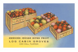 Fruit in Crates, Oak Hill, Florida Posters