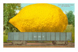 Giant Lemon on Flatbed, Florida Posters Giant Lemon on Flatbed, Florida Posters