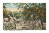 Bear Pit, Lincoln Park Zoo, Chicago, Illinois Photo