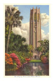 Singing Tower, Lake Wales, Florida Photo