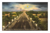 Lune sur Hollywood, Floride Posters