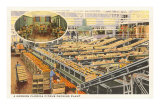 Citrus Packing House, Florida Posters