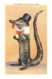 Alligator in Top Hat Kunstdrucke