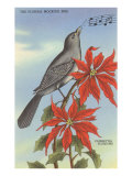 Florida Mocking Bird, Poinsettias Lámina giclée