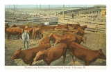 Stockyards, Chicago, Illinois Posters