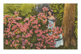 Azalées, Cypress Gardens, Floride Posters