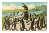 Alligator Chorus Poster