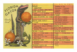 Florida Gator, Survey Card Posters