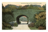 Lincoln Park Bridge, Chicago, Illinois Photo