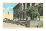 Art Institute, Lion Statue, Chicago, Illinois Photo