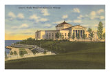 Shedd Aquarium, Chicago, Illinois Posters
