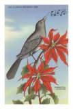Florida Mocking Bird, Poinsettias Poster