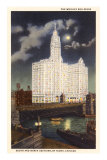 Wrigley Building at Night, Chicago, Illinois Posters