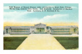 Field Museum, Chicago, Illinois Posters