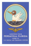 Naval Air Center, Pensacola, Florida, Duck with Goggles Posters Naval Air Center, Pensacola, Florida, Duck with Goggles Posters