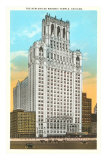 Masonic Temple, Chicago, Illinois Posters