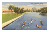 Sculls on Lincoln Park Lagoon, Chicago, Illinois Posters