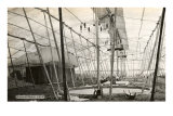 Putting up the Big Top, 1915 Photo