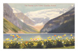 Poppies, Lake Louise, Canadian Rockies Posters
