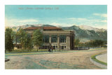 Library, Colorado Springs, Colorado Posters
