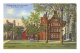 Yale University, New Haven, Connecticut Photo