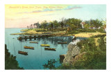 Mansfield Grove, New Haven, Connecticut Posters