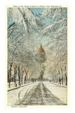 Winter, State Capitol, Denver, Colorado Posters