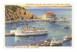 Steamers at Pier, Casino, Catalina, California Posters