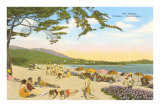 Plage à Carmel Posters
