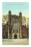Portail Phelps, Yale, New Haven, Connecticut Posters