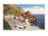 Airport and Orilla Jardin, Catalina, California Lámina giclée