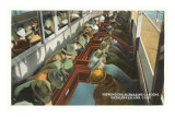 Interior Glass Bottom Boat, Catalina, California Photo