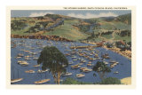 Isthmus Harbor, Catalina, California Posters