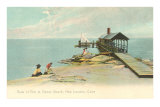 Pier at Ocean Beach, New London, Connecticut Posters