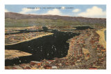Newport Beach and Harbor, California Posters