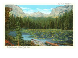 Lily Pond, Wild Basin, Colorado Giclee Print