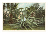 Century Plant with Little Girl Inside Digitálně vytištěná reprodukce