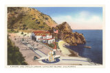 Airport and Orilla Jardin, Catalina, California Kunstdrucke