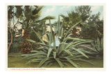 Century Plant with Little Girl Inside Prints