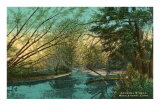 Arawana Stream, Middletown, Connecticut Posters