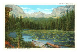 Lily Pond, Wild Basin, Colorado Photo