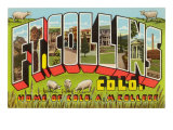 Ft.Collins, Large Letters Posters