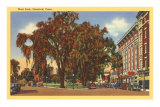 West Park, Stamford, Connecticut Posters